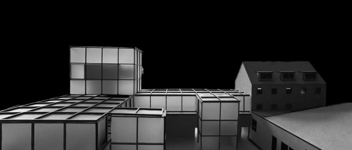 Cubplex_Biermann_Kara_Loewensen